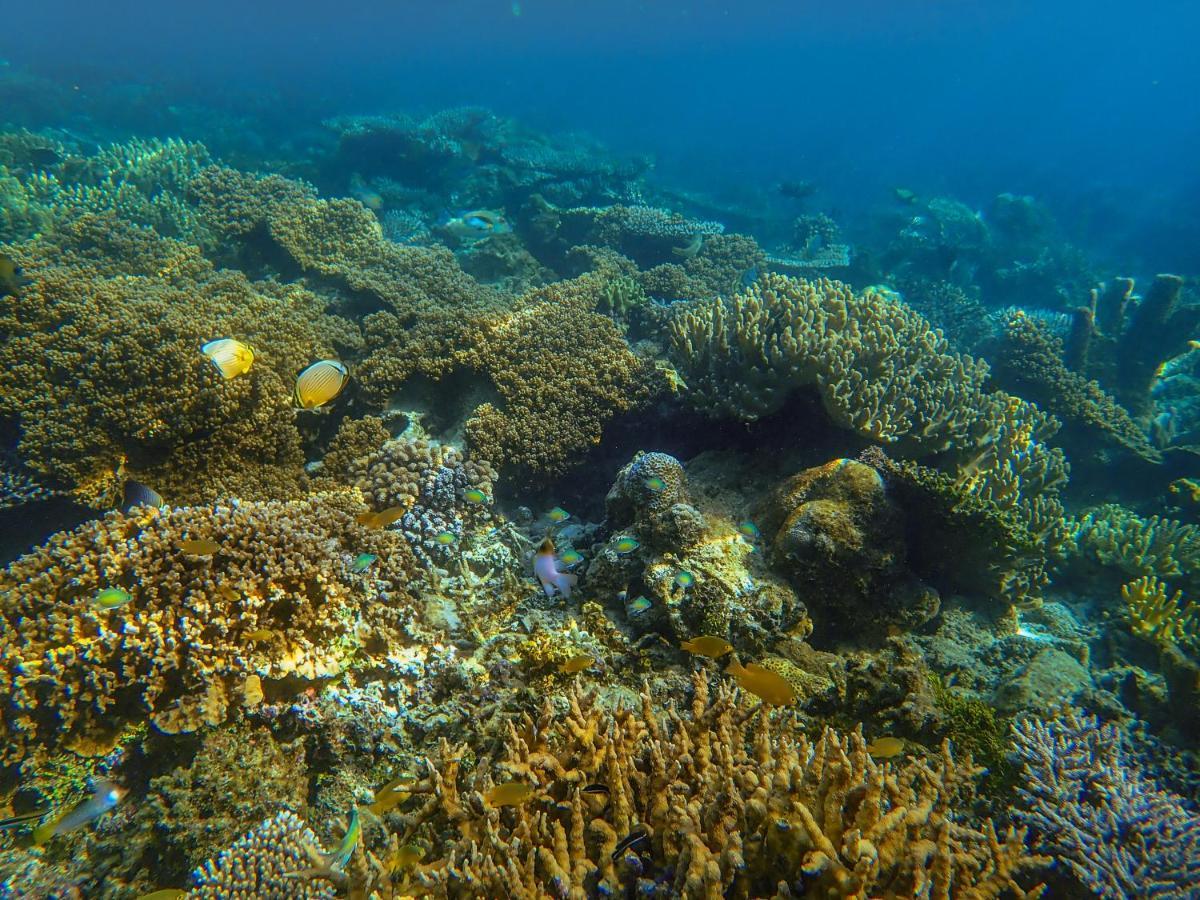 Raja Ampat Eco Lodge Tapokreng ภายนอก รูปภาพ